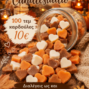 wax melts καρδούλες 100τεμ